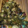 Sira solar 's Christmas tree from Gijon