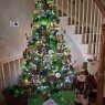 Pamela Ledford's Christmas tree from Stockton, California, USA