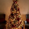 Cathy K.'s Christmas tree from Waterloo, ON, Canada
