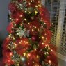 Carson Loveless's Christmas tree from Bay de verde, NL, Canada