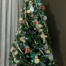 Cathy Charles & Oli's Christmas tree from Airlie Beach, Australia