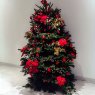 Souid's Christmas tree from Paris
