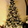 Ricardo Alvarez C's Christmas tree from Lima Perú 