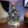 Trish's Christmas tree from House livingroom