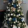 LPSP's Christmas tree from Brisbane, Australia 