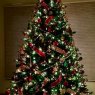 Simply Beautiful by Wendy's Christmas tree from Sussex, Wisconsin, USA