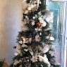 Lisa Clare's Christmas tree from Cape Town, South Africa