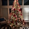 Steve Vasta's Christmas tree from Chesterfield, MO, USA