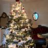 Madame Toulouse Psychic's Christmas tree from Sunny Isles Beach Miami