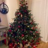 Laurence's Christmas tree from Montpellier, France