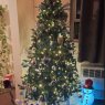 Joey's Christmas tree from Queens, NY, USA