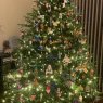 Karen Wandel's Christmas tree from Concord, California, USA