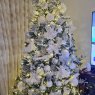 Nildac's Christmas tree from Brooklyn, USA