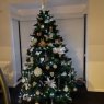 LP & SP's Christmas tree from Australia 