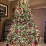 Katie Sattler's Christmas tree from Vero Beach, Florida, USA