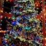 Clayton Jacobson 3rd 's Christmas tree from Parker Arizona USA 