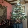 Philippe 's Christmas tree from France