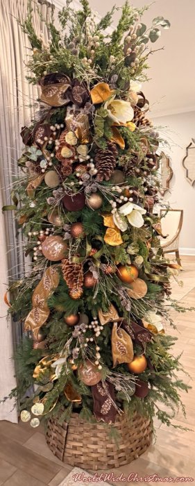 Jennifer Isom (Knoxville, Tennessee )