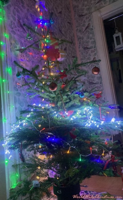 Amanda-Renate (Estonia, Tallinn)