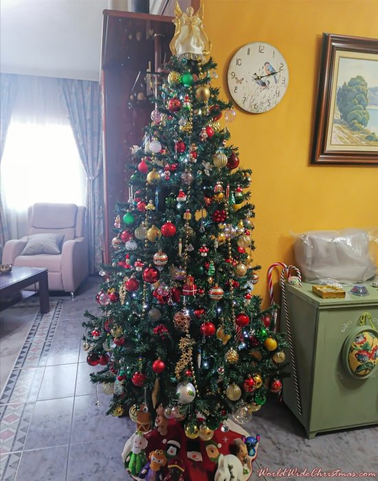 Anas (Ciudad Real, España )