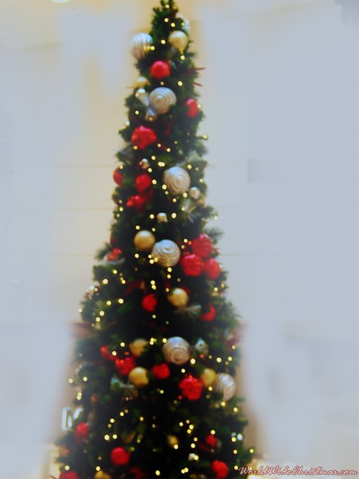 TIM SRIDHARAN (SAN JOSE)