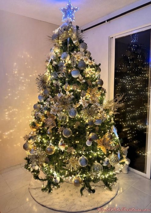 Lilia Velasco (Bucaramanga - Colombia)