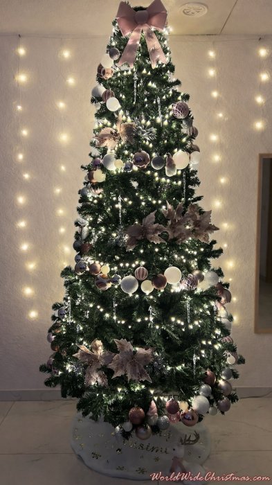 Nejra ?i?ak (Bosnia and Herzegovina)