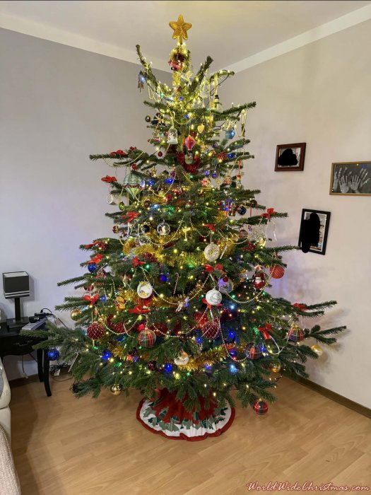 Dennis (Szczecin, Poland)