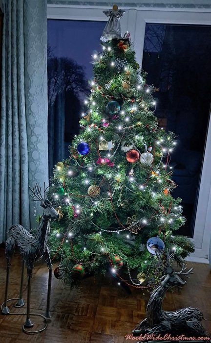 Vatsala (Chennai, India)