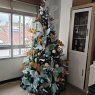 Ivonne Osorno's Christmas tree from Ferrol