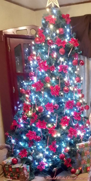 Brenda Rodríguez  (CDMX, México )