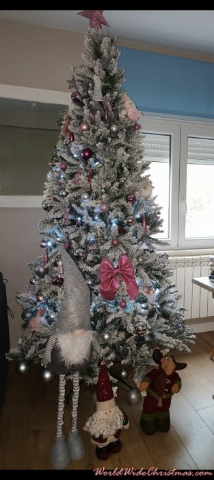 Paula,Bruno y Martin (Torrelavega, España )