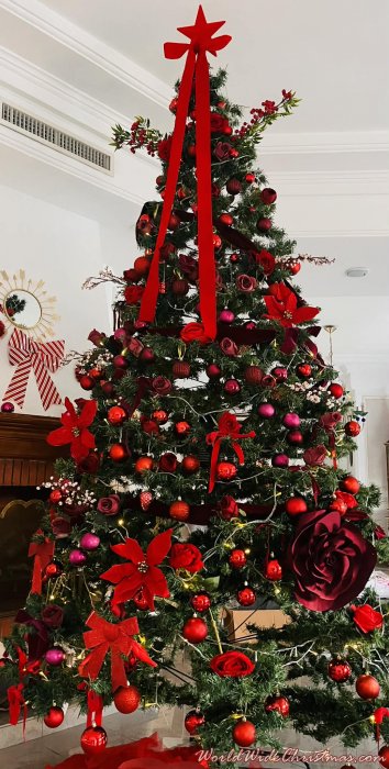 zarrad cyrine (LYON)