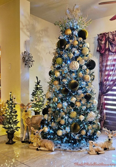 ALEJANDRA EDITH MARTINEZ SIQUEIROS (Caborca ,Sonora Mexico)