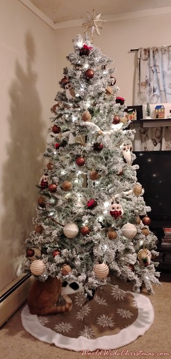 Diana M (Watertown, NY, USA)