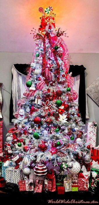 Tara Warrior (Louisiana)