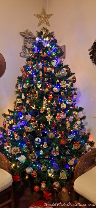 Gabriela Gomes (Lisboa, Portugal)