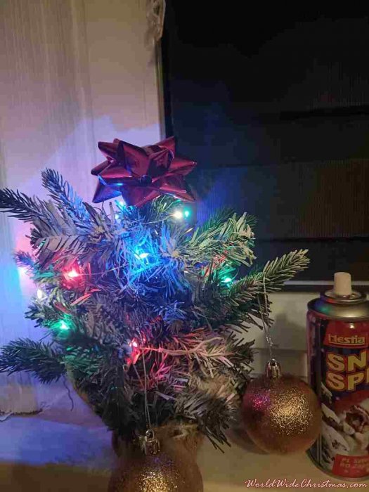 KORNELEK RÓWNY GO (POLSKA GUROM, RYBNIK)