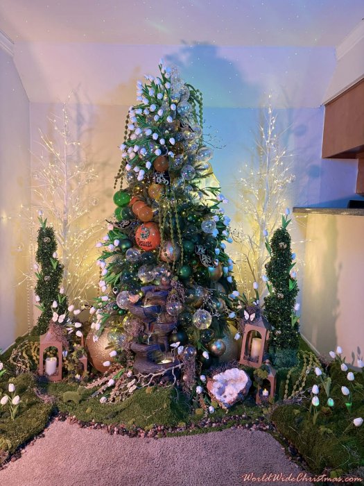 Monsieur Alexander  (Dallas, TX)