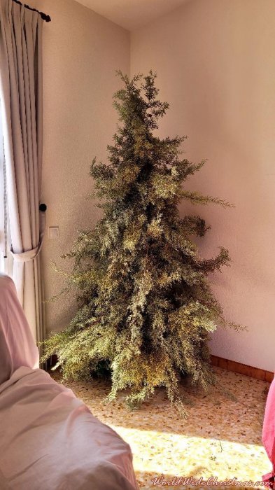 Aylin de la caridad rondón Fernández  (Fuente el fresno .ciudad real . España )