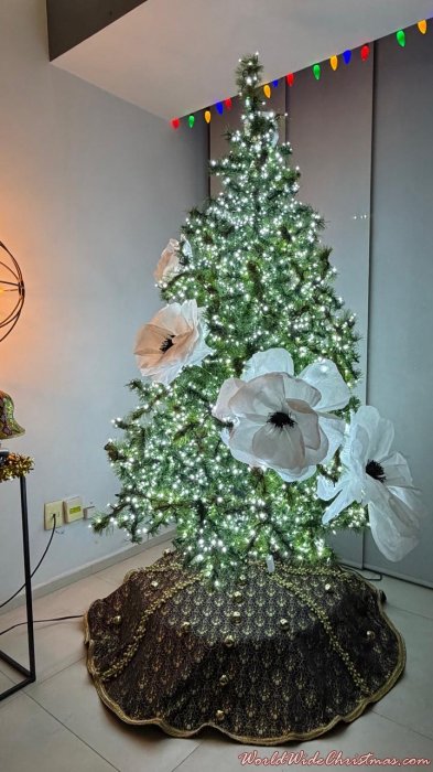 BRANKO HINOJOSA KALAFATIC (CIUDAD DE MÉXICO - MEXICO)