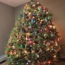 Susan Smith's Christmas tree from Noxen, Pa