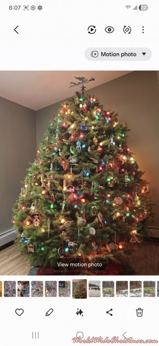 Susan Smith (Noxen, Pa)