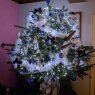 Weihnachtsbaum von Philippe  (France)