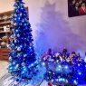 Weihnachtsbaum von DANITZA JEANCARLA HINOJOSA KALAFATIC  (BOLIVIA)