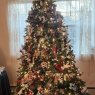 Weihnachtsbaum von Gronke Family tree (Wisconsin )