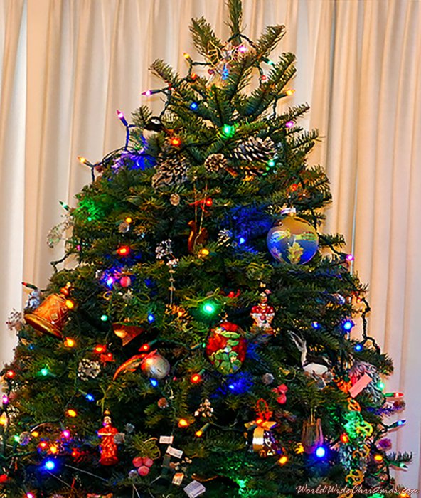 LAKSHMI SRIDHARAN (CALIFORNIA)