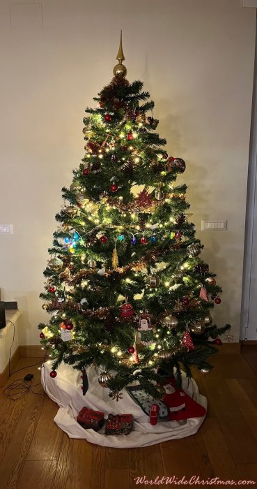 Volterra family (Rome (Italy))