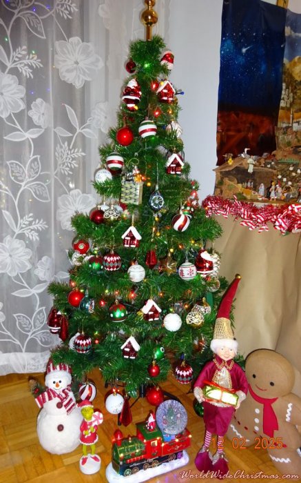 Carmen Carlota Ordás Gómez (Salamanca,  España)