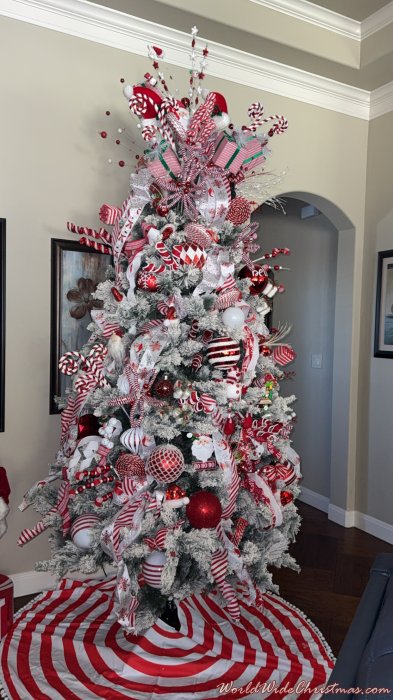 Amanda Daniel (Cleburne ,TX)